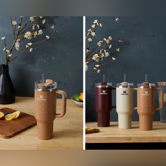 Stanley 40 oz Stainless Steel H2.0 FlowState Quencher Tumbler ✨Deep Clay Orange - Picture 10 of 12